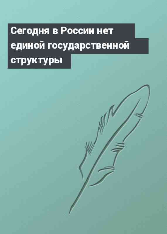 Сегодня в России нет единой государственной структуры