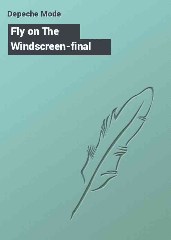 Fly on The Windscreen-final