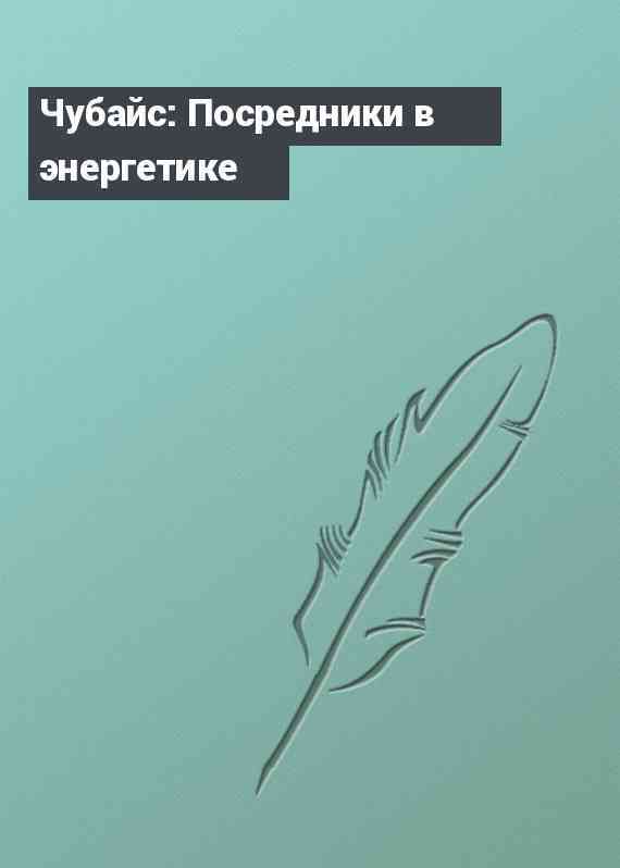 Чубайс: Посредники в энергетике