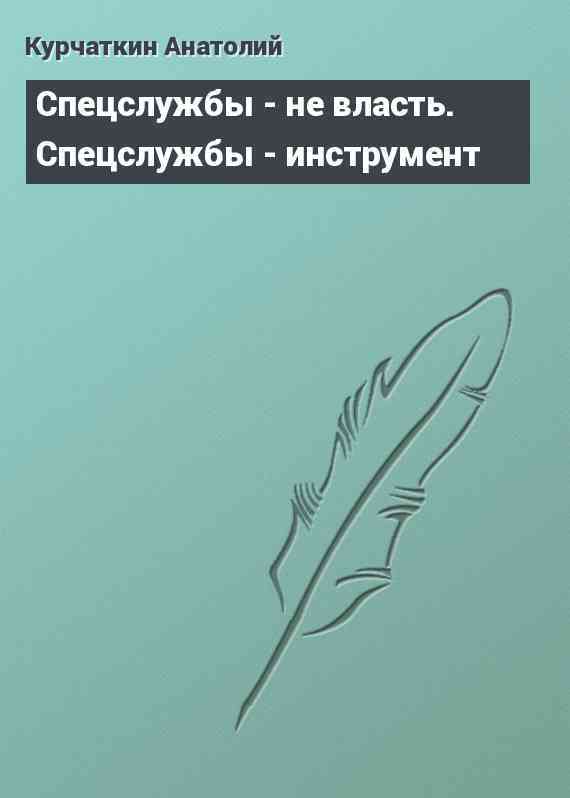 Спецслужбы - не власть. Спецслужбы - инструмент