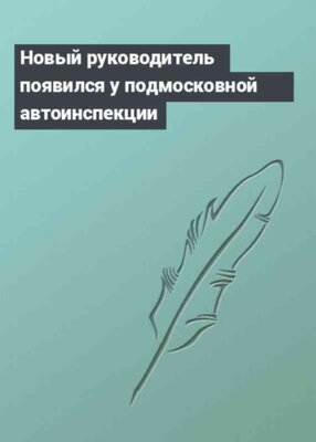 Новый руководитель появился у подмосковной автоинспекции