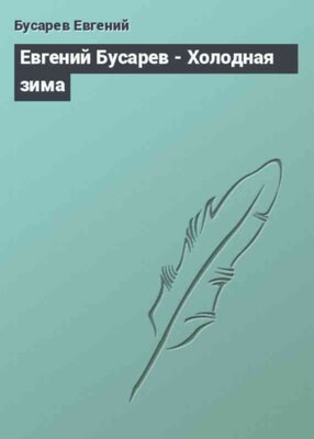 Евгений Бусарев - Холодная зима