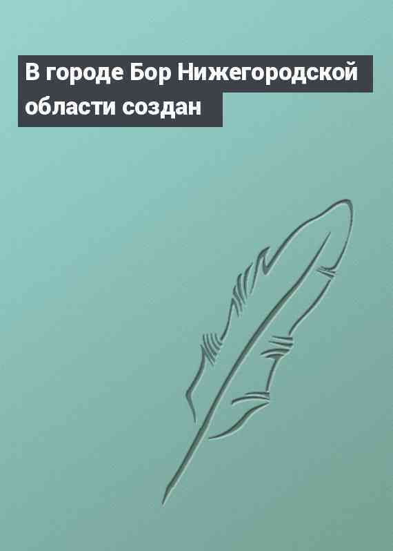 В городе Бор Нижегородской области создан