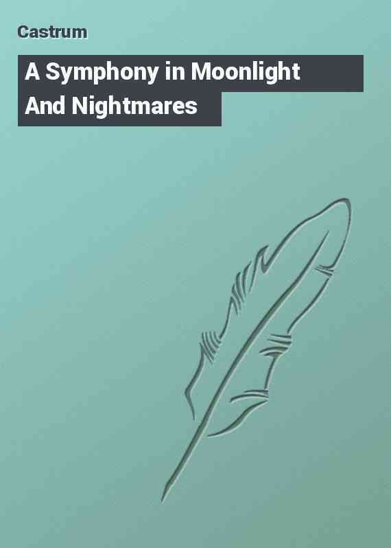 A Symphony in Moonlight And Nightmares