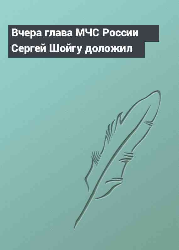 Вчера глава МЧС России Сергей Шойгу доложил