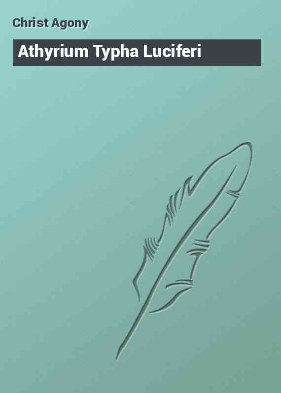 Athyrium Typha Luciferi