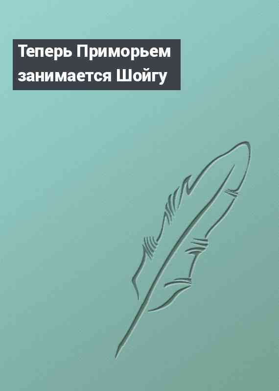 Теперь Приморьем занимается Шойгу