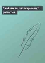 3 и 4 циклы эволюционного развития