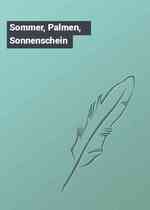 Sommer, Palmen, Sonnenschein