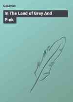 In The Land of Grey And Pink
