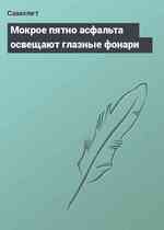 Мокрое пятно асфальта освещают глазные фонари