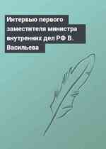 Интервью первого заместителя министра внутренних дел РФ В. Васильева