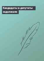 Кандидаты в депутаты задолжали