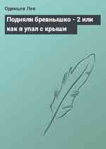 Подняли бревнышко - 2 или как я упал с крыши