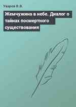 Жемчужина в небе. Диалог о тайнах посмертного существования