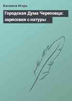 Городская Дума Череповца: зарисовки с натуры