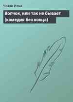 Волчок, или так не бывает (комедия без конца)