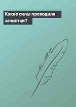 Какие силы проводили зачистки?