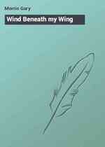 Wind Beneath my Wing