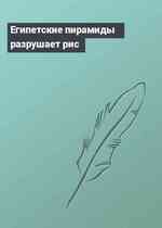 Египетские пирамиды разрушает рис