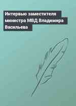 Интервью заместителя министра МВД Владимира Васильева