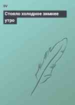 Стояло холодное зимнее утро