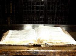 В Ирландии найдены фрагменты Библии на латыни конца VIII века