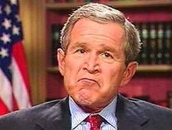 Мемуары Буша назвали плагиатом