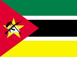 Парламент Мозамбика отказался убрать автомат Калашникова с флага